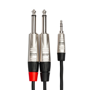 Hosa HMP-010Y REAN 3.5 mm TRS to Dual 1/4 in TS Pro Stereo Breakout (10ft)