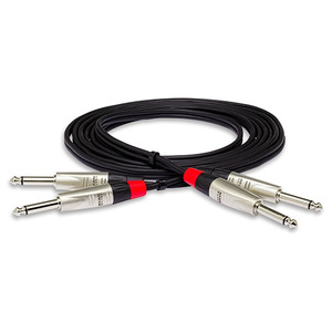 Hosa HPP-010X2 (10ft)
