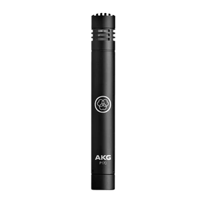AKG P-170 Instrument Microphone