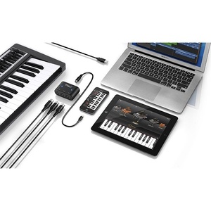 IK MULTIMEDIA iRig MIDI 2