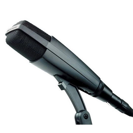 Sennheiser MD 421 II Dynamic Microphone